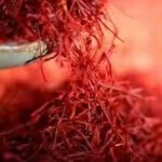 Kashmiri Kesar (SAFFRON)