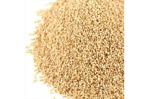 Poppy Seeds