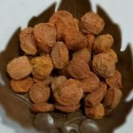 Red Apricots