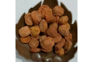 Red Apricots